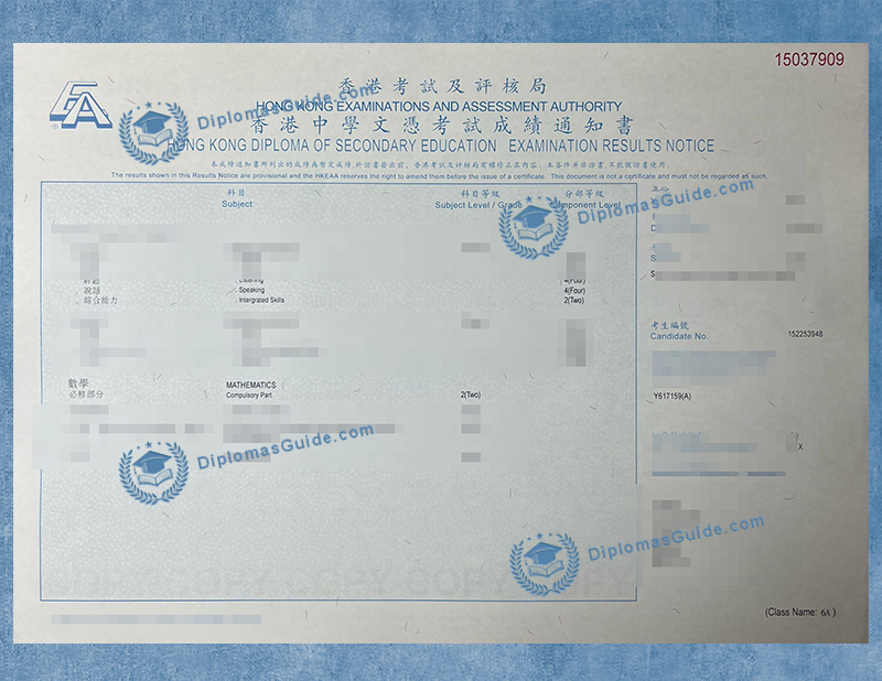 DSE Certificate 香港中学文凭考试