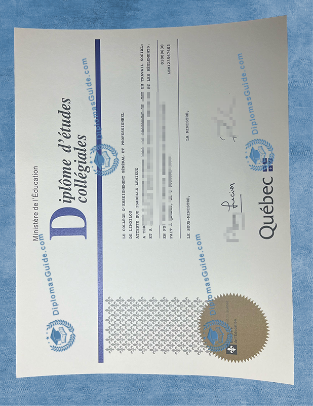 中等教育文凭 Diplôme D'études Collégiales
